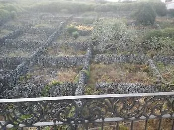 Branco Ii * Porto Martins