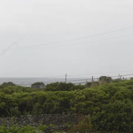 Branco Ii Porto Martins