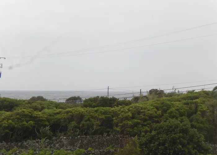 Branco Ii Porto Martins